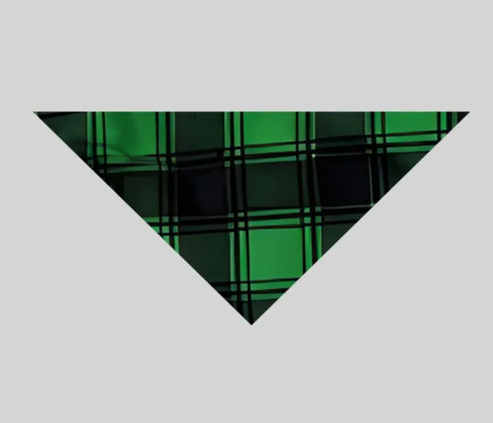 We are Family 2024 Print Long Sleeve Top With Green & Black Plaid Christmas Family Matching Pajamas